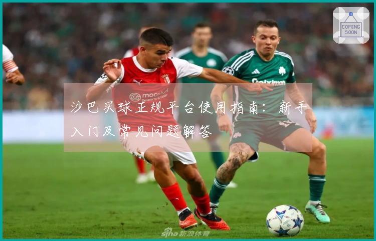 沙巴买球正规平台使用指南:新手入门及常见问题解答