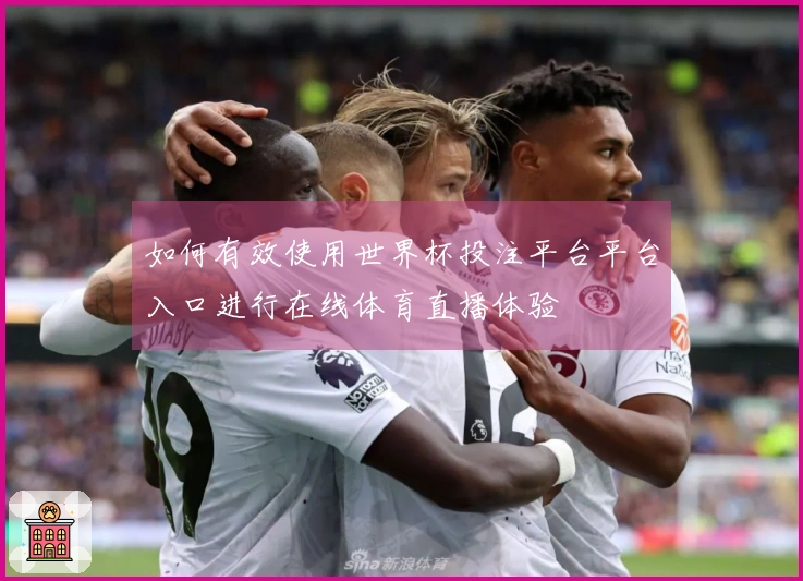 如何有效使用世界杯投注平台平台入口进行在线体育直播体验