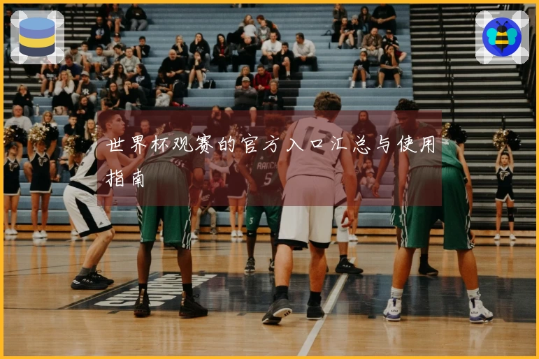 世界杯观赛的官方入口汇总与使用指南