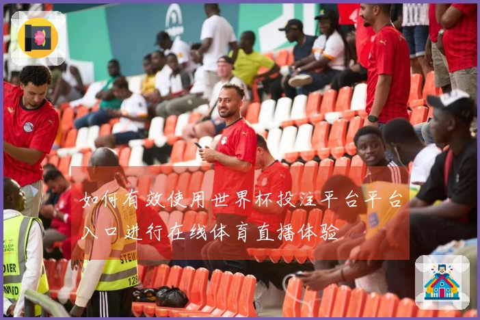 如何有效使用世界杯投注平台平台入口进行在线体育直播体验