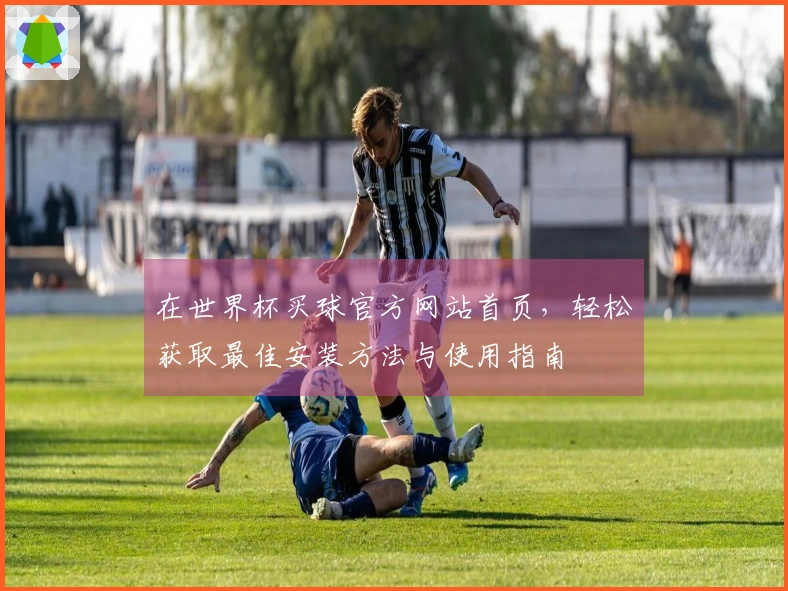 在世界杯买球官方网站首页,轻松获取最佳安装方法与使用指南