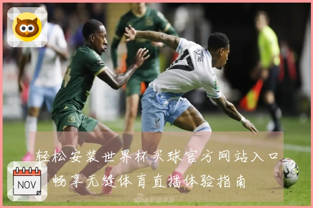 轻松安装世界杯买球官方网站入口，畅享无缝体育直播体验指南