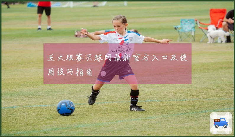 五大联赛买球网最新官方入口及使用技巧指南