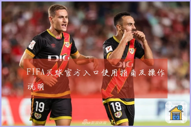 FIFA买球官方入口使用指南及操作说明
