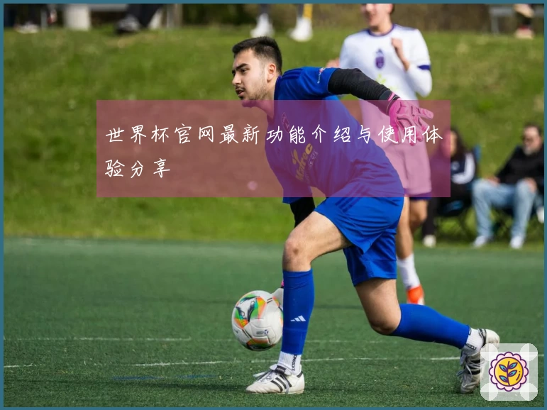 世界杯官网最新功能介绍与使用体验分享